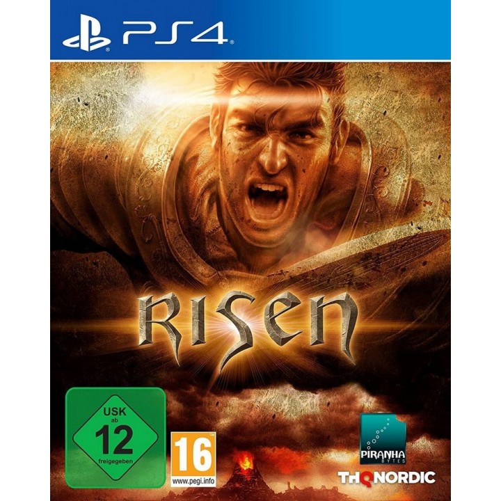 Risen [PS4] Б/У